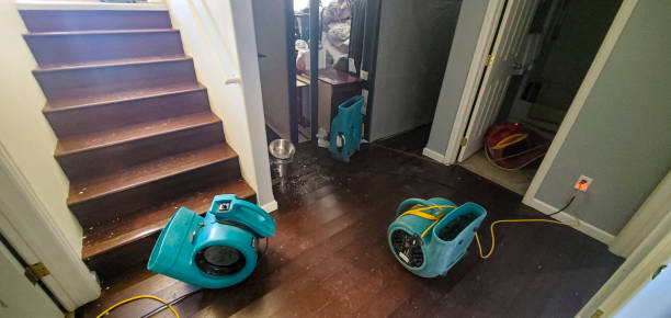 Best Odor Removal and Sanitization After Water Damage in Eureka, MO